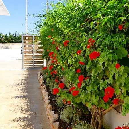 Punta Prosciutto Bed Pensjonat Porto Cesareo